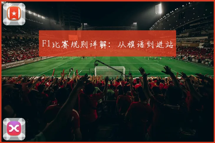 F1比赛规则详解:从旗语到进站